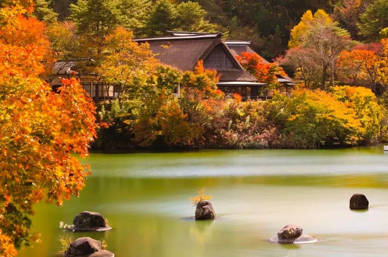 青森秋季风物诗，沉浸在苹果香气和红叶风景中