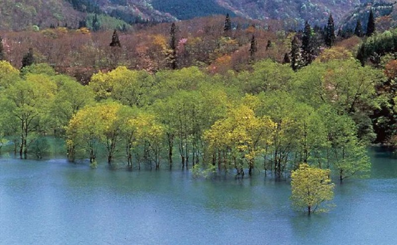 一篇玩转青森，日本宝藏小众旅行地